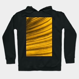 Golden Leaf II Hoodie